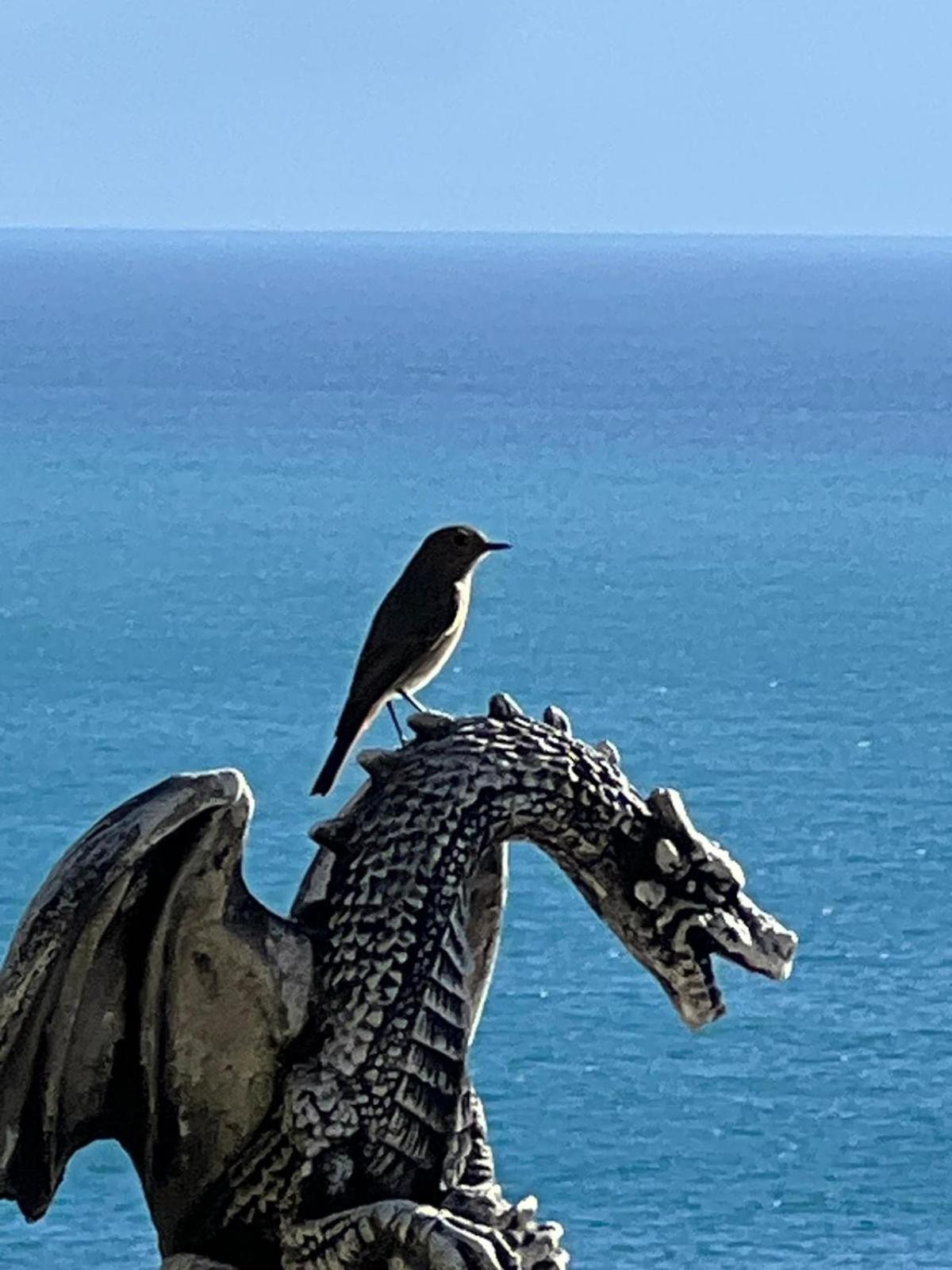 La Maliosa Positano Acomodação com café da manhã Exterior foto